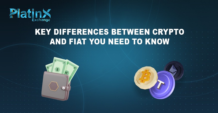 Key Differences Between Crypto and Fiat You Need to Know