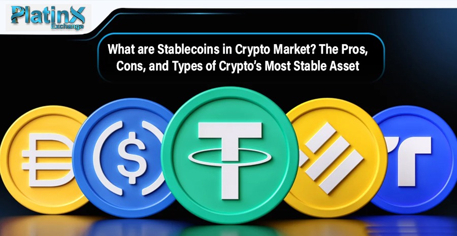 What are Stablecoins in Crypto Market? The Pros, Cons, and Types of Crypto’s Most Stable Asset